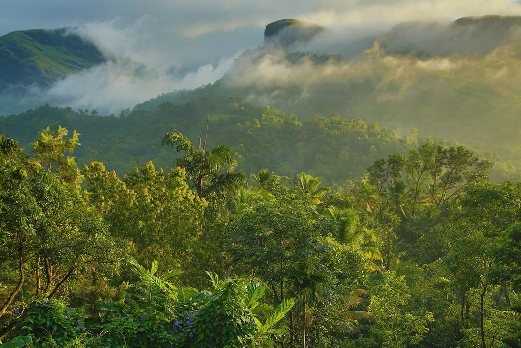 Sceva'S Garden Home Munnar Exterior photo